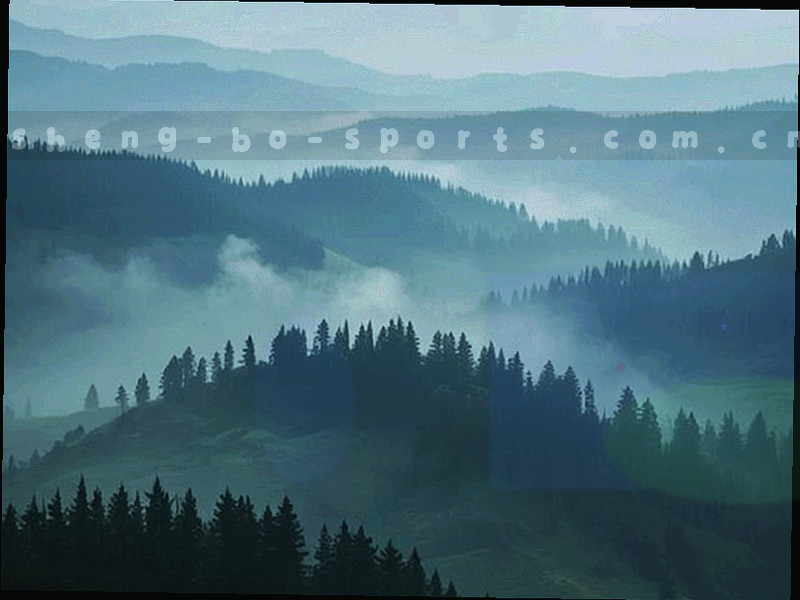 场次号码牌与赛程编号的抽象排列，画面中没有真实赛事名称